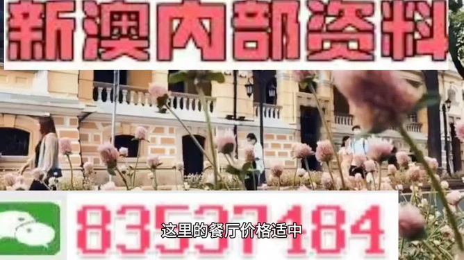新澳門，探索最精準(zhǔn)、最快的信息更新速度，新澳門，追求最快速、精準(zhǔn)的信息更新之道