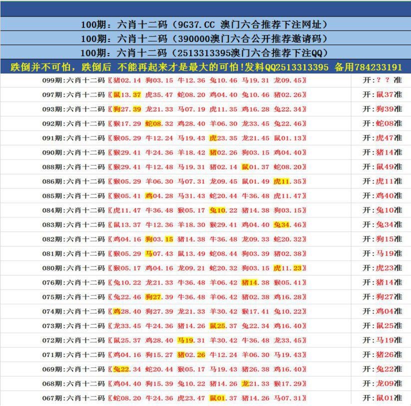 澳門無錯九肖今日搜狗，探索與解析，澳門無錯九肖今日搜狗，深度解析與探索