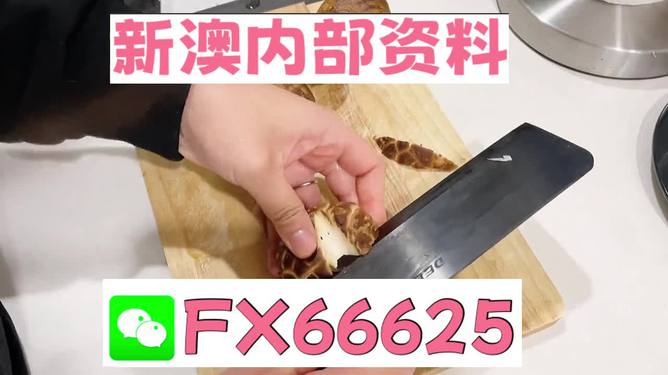 澳門九點(diǎn)半9點(diǎn)半網(wǎng)站——探索其魅力與優(yōu)勢(shì)，澳門九點(diǎn)半網(wǎng)站，魅力與優(yōu)勢(shì)探索