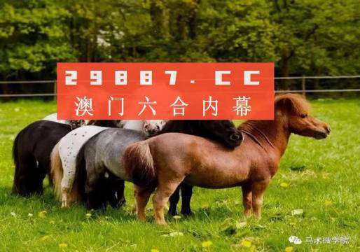 一馬中特內(nèi)部精準(zhǔn)資料免費大公開，揭秘行業(yè)秘密，助力個人成長，揭秘行業(yè)秘密，一馬中特內(nèi)部精準(zhǔn)資料大公開，助力個人成長免費獲取