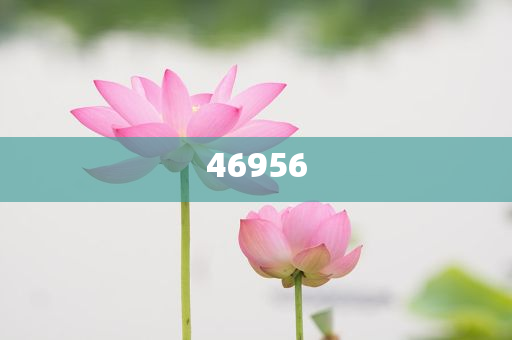 新奧集團，邁向2025，天天開好彩的愿景與挑戰(zhàn)，新奧集團邁向2025，實現(xiàn)天天開好彩的愿景與挑戰(zhàn)