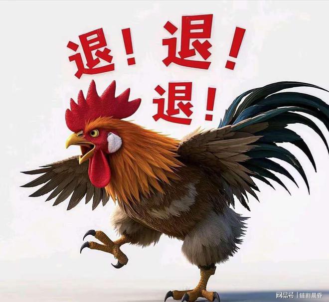今晚特馬生肖必開資料，深度解析與預(yù)測，深度解析與預(yù)測，今晚特馬生肖必開資料揭秘