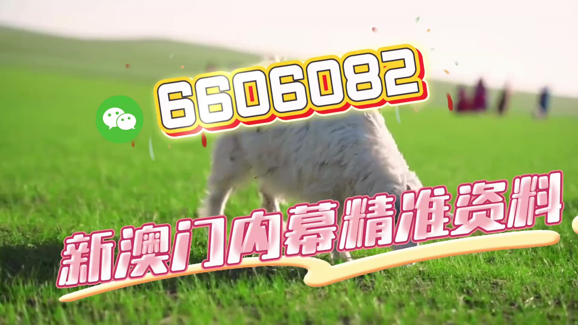 澳門今晚必開一肖一特，揭秘生肖彩票的魅力與預(yù)測技巧，澳門生肖彩票預(yù)測揭秘，一肖一特魅力與預(yù)測技巧探討