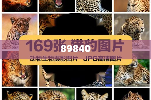揭秘新奧集團(tuán)，展望未來(lái)的最新資料，探尋五不中的奧秘，新奧集團(tuán)未來(lái)展望，探尋五不中的奧秘與揭秘最新發(fā)展資料