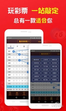 揭秘2019王中王一肖，成功背后的故事與秘密，揭秘王中王一肖的成功之路，背后的故事與秘密