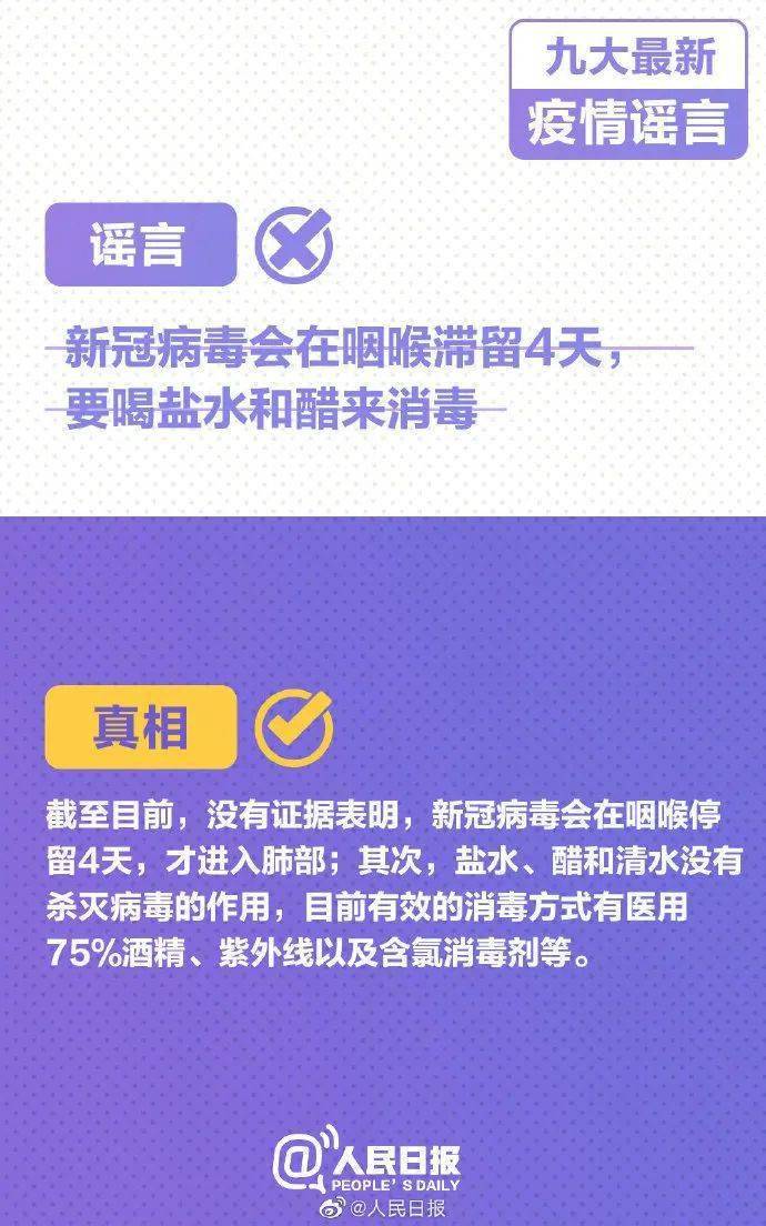 全面解析與深度探索