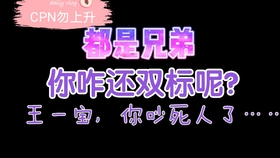 一肖二肖是什么意思——深度解析中國(guó)民俗中的生肖文化，深度解析中國(guó)民俗中的生肖文化，一肖二肖的含義與故事