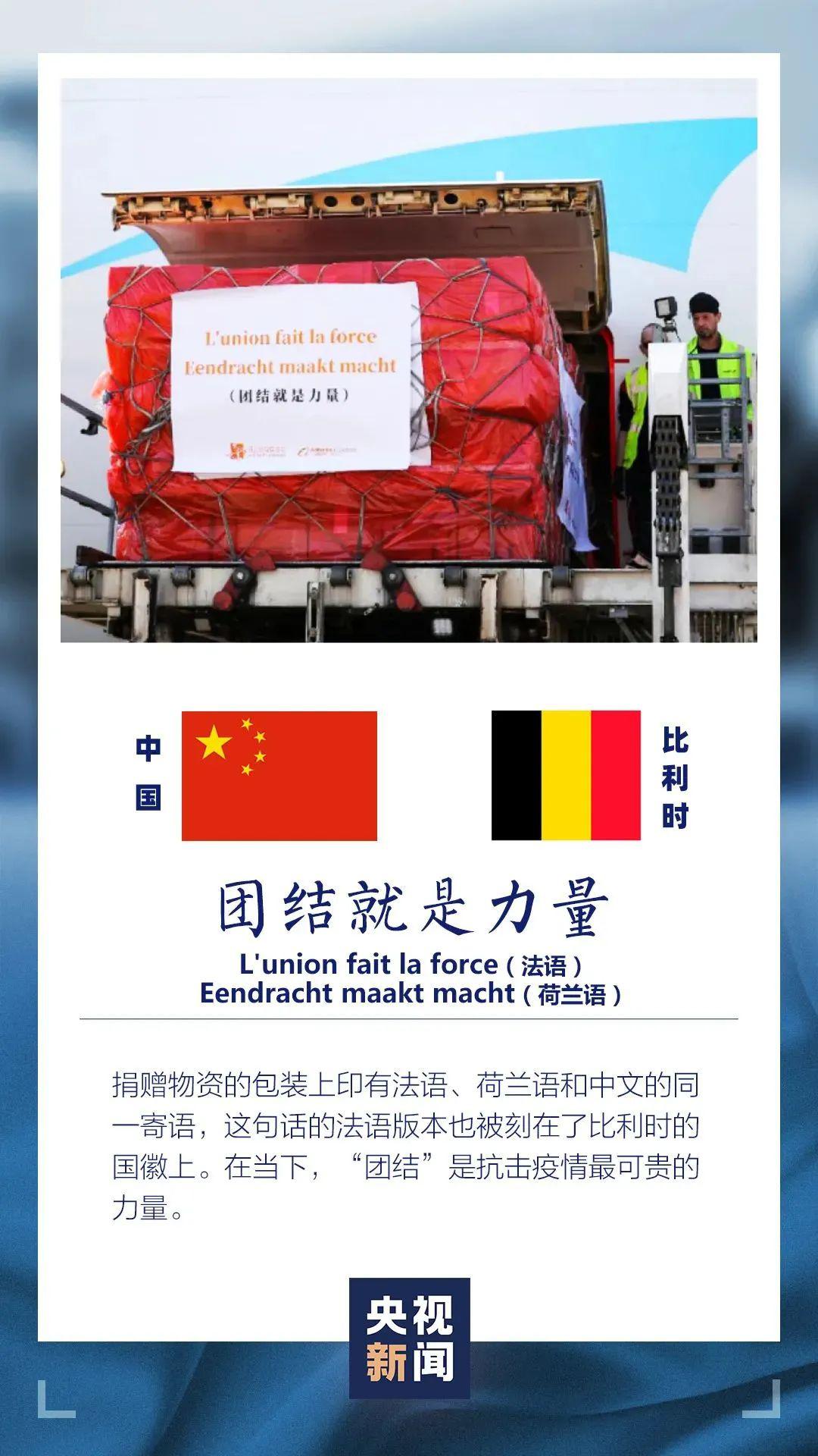 王中王資米斗一肖中持，深度解析與SEO優(yōu)化策略，王中王資米斗一肖中持深度解析與SEO優(yōu)化策略探討