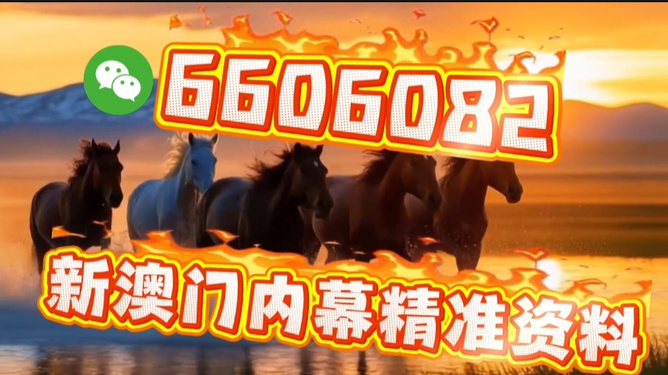 澳門今晚必開一肖一特，揭秘生肖與特碼預(yù)測背后的秘密，澳門生肖與特碼預(yù)測揭秘，今晚必開一肖一特背后的秘密