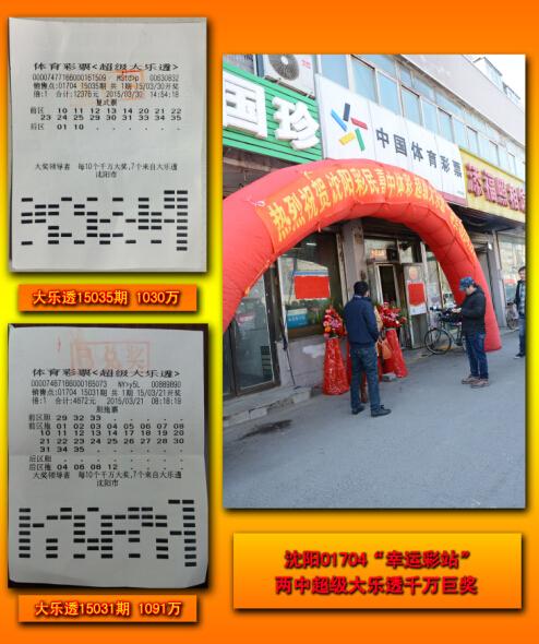 王中王平特一肖二選一，深度解析與SEO優(yōu)化策略，王中王平特一肖二選一深度解析與SEO策略優(yōu)化指南