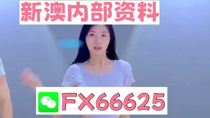 新澳門精準(zhǔn)資料大全——管家婆料解析與探索，澳門精準(zhǔn)資料大全，管家婆料解析與深度探索