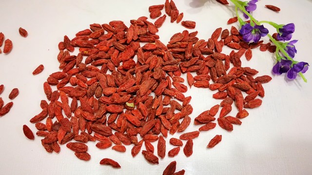 長期吃枸杞子的害處，理性看待枸杞的食用與養(yǎng)生之道，長期食用枸杞子的潛在影響與理性看待枸杞養(yǎng)生之道