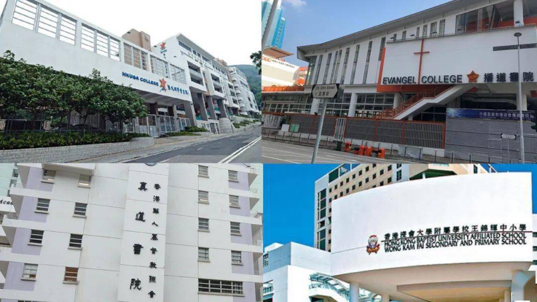 香港免費(fèi)公開資料大全，探索無盡的資源寶庫，香港免費(fèi)公開資料寶庫，無盡資源探索之旅