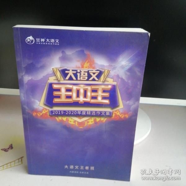 揭秘2019王中王資料一肖，全方位解讀背后的故事，揭秘王中王資料一肖背后的故事，全方位解讀與深度剖析