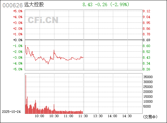 關(guān)于000626遠(yuǎn)大控股股吧的全面解析，000626遠(yuǎn)大控股股吧深度解析