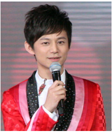 何炅的媳婦的照片，探索背后的真相與隱私邊界，何炅媳婦照片背后的真相與隱私邊界探索