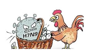 揭秘H7N9病毒，了解它的起源、特性與影響，H7N9病毒揭秘，起源、特性與影響全解析