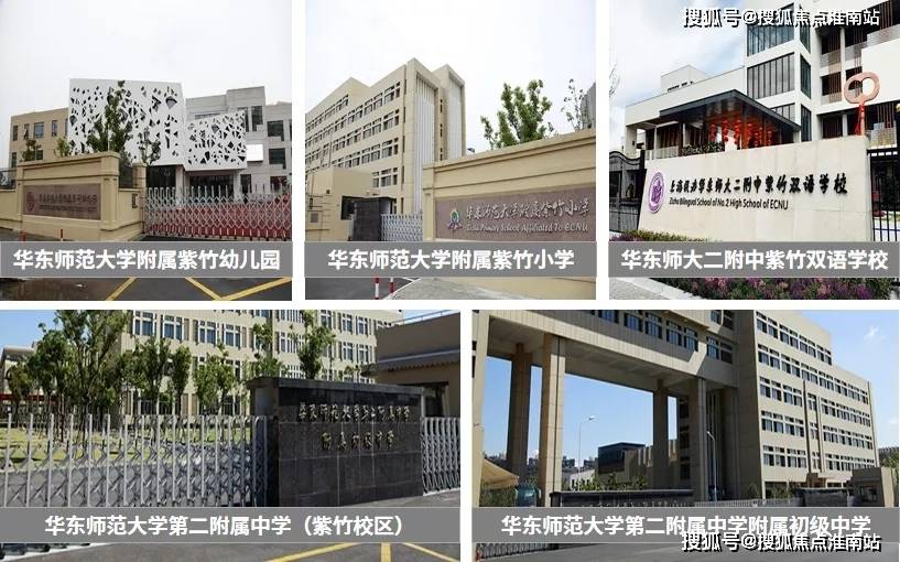 新奧門(mén)特資料49圖庫(kù)，深度解析與探索，新奧門(mén)特資料49圖庫(kù)，深度探索與解析