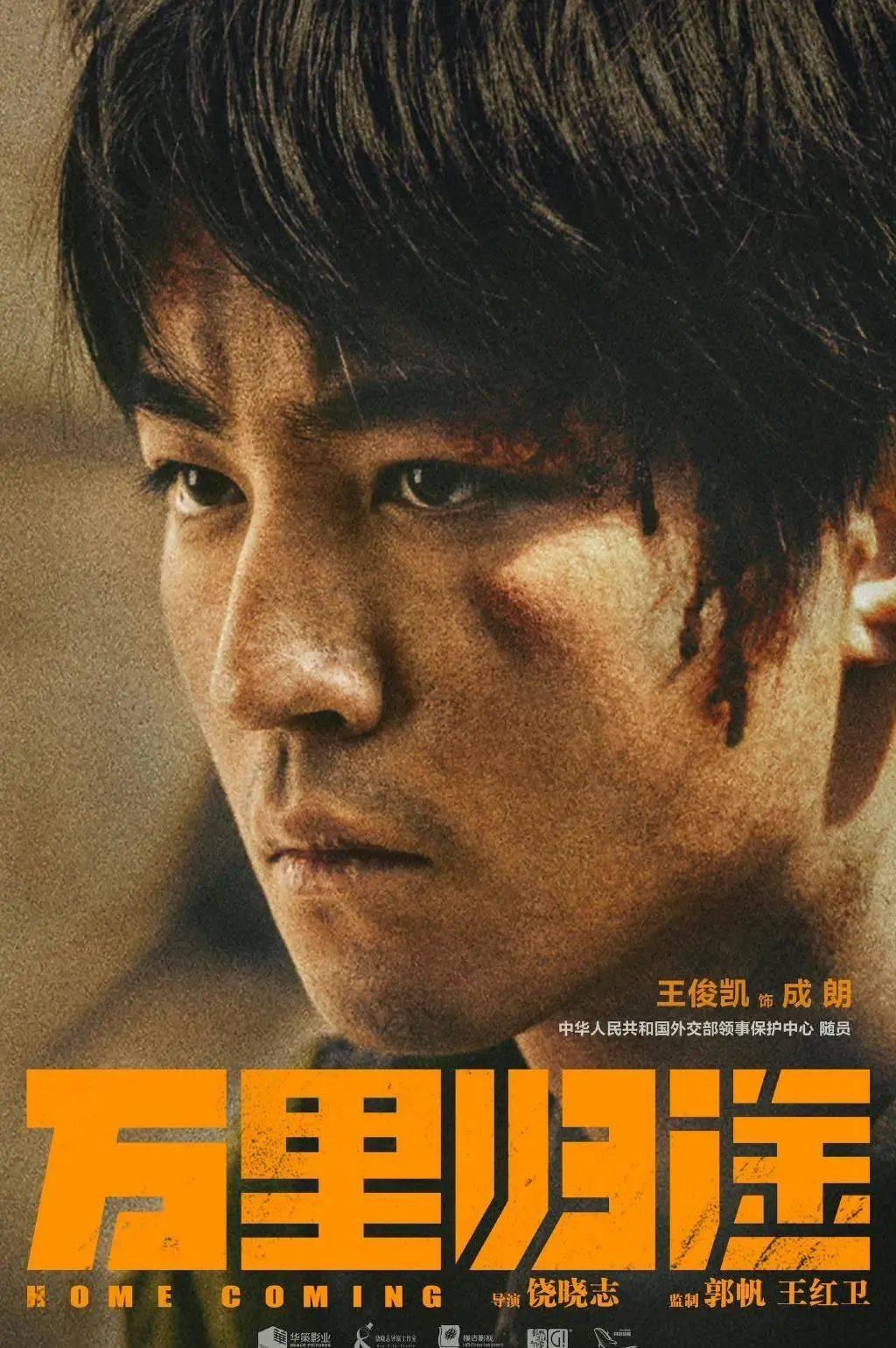 萬茜個人資料簡介及，一位多才多藝的耀眼明星，萬茜，多才多藝的耀眼明星個人資料簡介