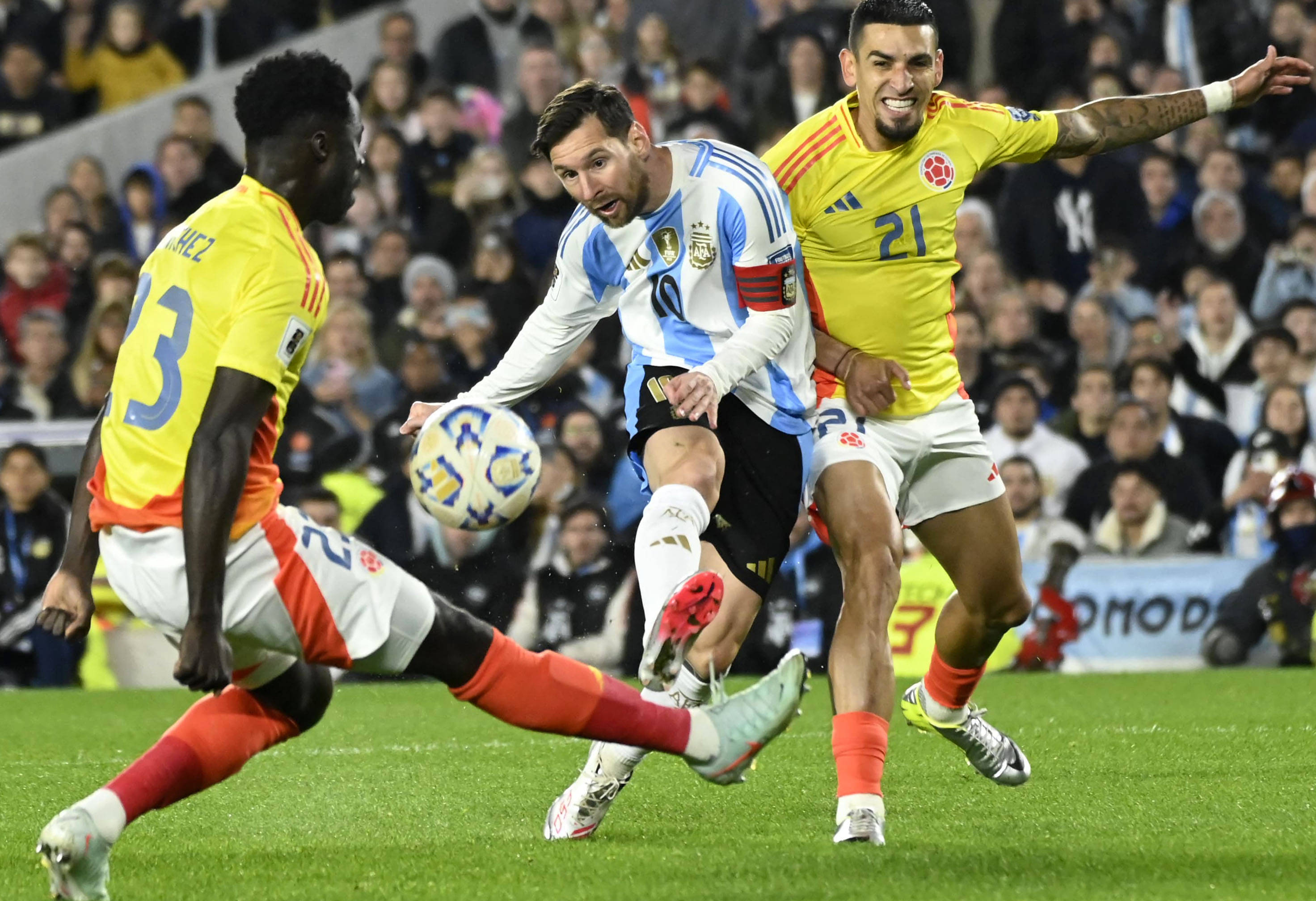 王中王一肖，揭秘碼一特一中的奧秘，揭秘王中王一肖特一中奧秘的真相