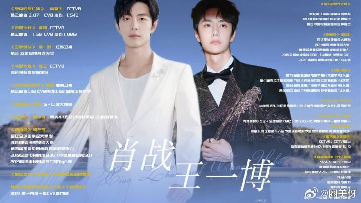 王中王一肖資料詳解，王中王一肖資料大全解析