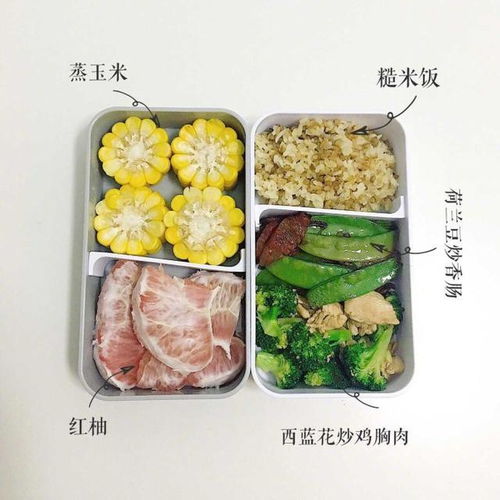 減肥一日三餐食譜，科學(xué)飲食助你輕松瘦身，科學(xué)減肥一日三餐食譜，輕松瘦身有保障