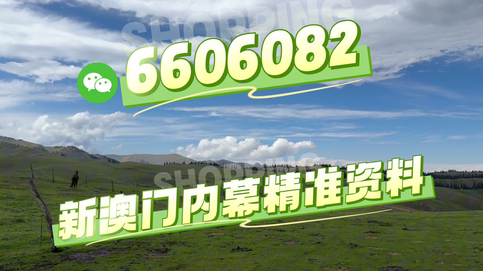 澳門今晚必開一肖一特，深度解析與預(yù)測，澳門今晚生肖特碼深度解析與預(yù)測，一肖一特必開趨勢探討