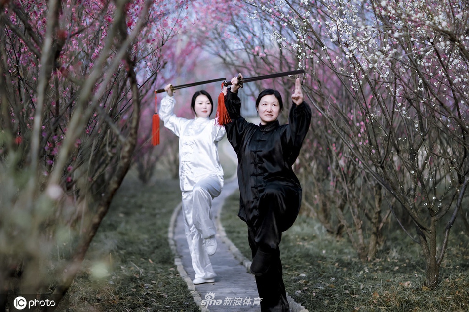 揭秘劉伯溫一期一肖期期中的奧秘與真相，劉伯溫一期一肖期奧秘與真相揭秘