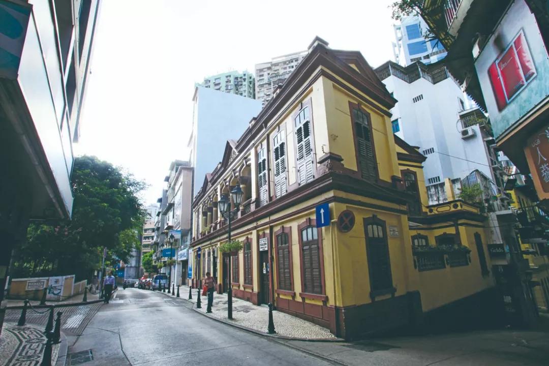 澳門今晚必開(kāi)一肖與狗年運(yùn)勢(shì)揭秘，澳門今晚必開(kāi)生肖與狗年運(yùn)勢(shì)大揭秘