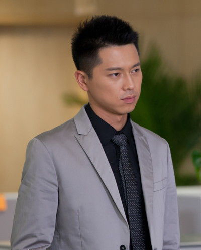 王雷主演的電視劇大全最新，精彩紛呈的角色演繹與劇情回顧，王雷主演電視劇大全，精彩角色演繹與劇情回顧