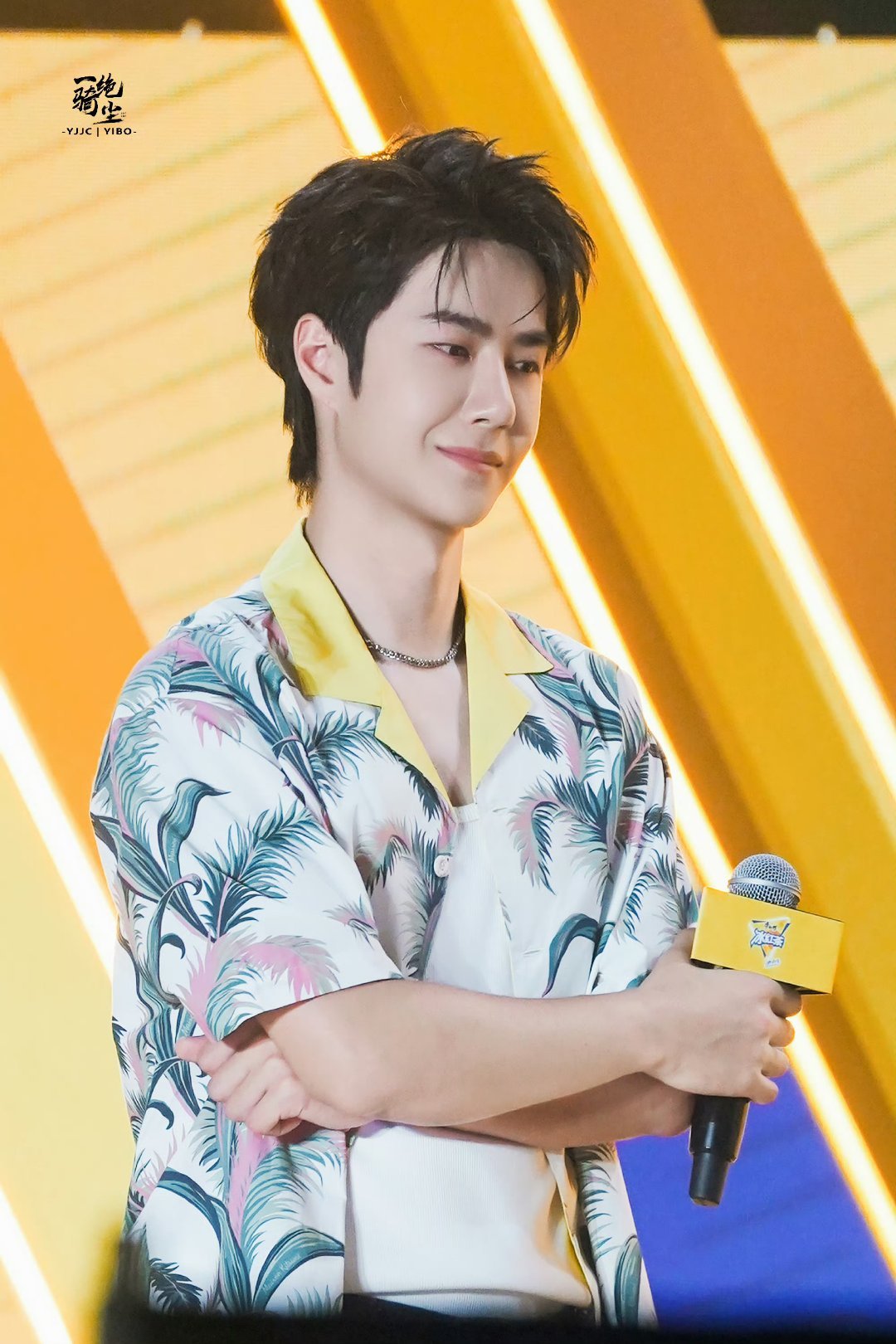 王中王一肖中特家婆，深度解讀背后的故事與奧秘，王中王一肖背后的故事與奧秘深度解讀