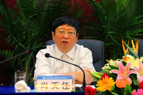 王中王資科一肖中持天，深度解析與SEO優(yōu)化策略，王中王資科一肖中持天深度解析與SEO優(yōu)化策略探討