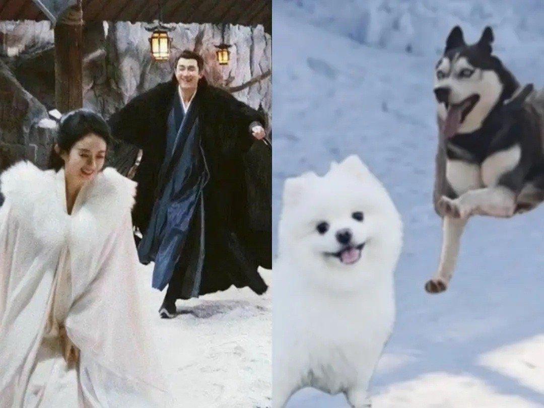 林更新趙麗穎，星光熠熠，共譜影視傳奇，林更新趙麗穎，星光熠熠，影視傳奇之戀