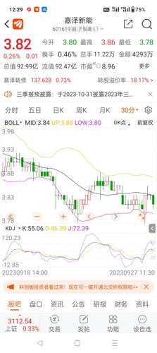 嘉澤新能源股票，投資前景深度解析，嘉澤新能源股票投資前景深度解析