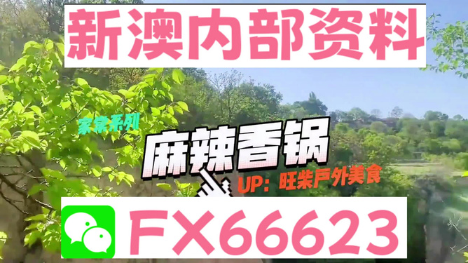 新澳精準(zhǔn)資料免費(fèi)提供，探索與解讀，新澳精準(zhǔn)資料解讀與探索，免費(fèi)分享揭秘