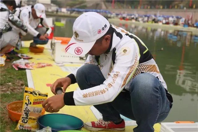 王中王高手論壇一肖中特，深度解析與探討，王中王高手論壇深度解析與探討一肖中特技巧