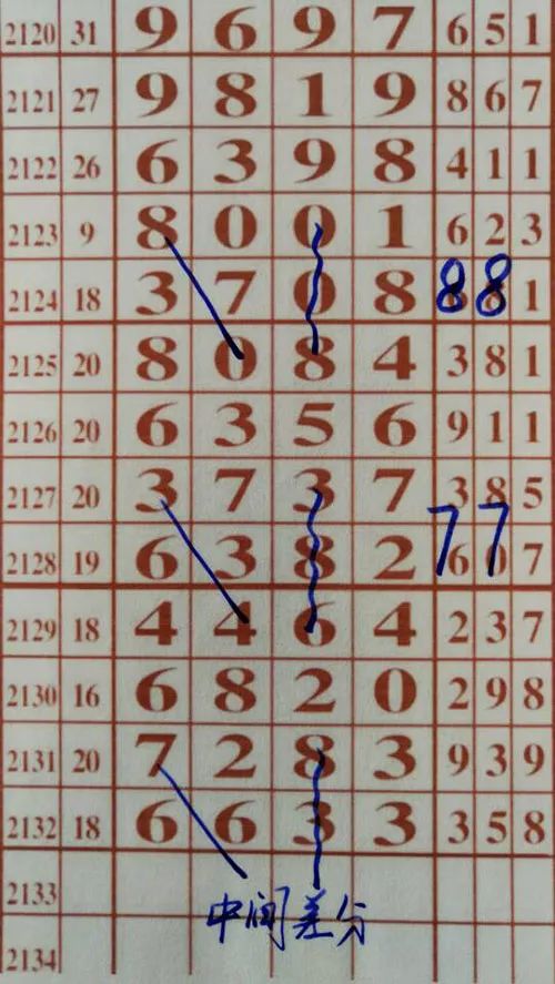 79期王中王三肖一碼，深度解析與SEO優(yōu)化策略，79期王中王三肖一碼深度解析與SEO策略全解析