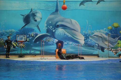 南京海底世界游玩攻略，探索奇妙海洋，了解逛完所需時間，南京海底世界游玩攻略，探索奇妙海洋之旅及所需時間揭秘