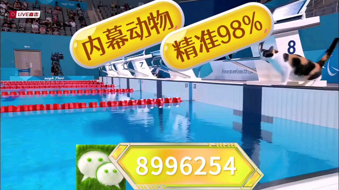 揭秘彩票奧秘，探索澳門(mén)王中王彩票期期中的秘密與策略，展望2025年彩票新紀(jì)元，揭秘彩票奧秘，澳門(mén)王中王彩票策略與秘密，展望2025彩票新紀(jì)元探索