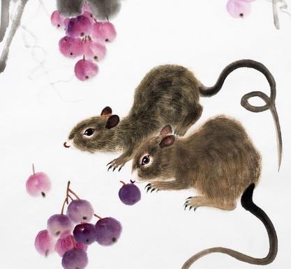 澳門六福生肖鼠開獎(jiǎng)結(jié)果，揭秘彩票背后的神秘面紗，澳門六福生肖鼠開獎(jiǎng)結(jié)果揭秘，彩票背后的神秘面紗展開