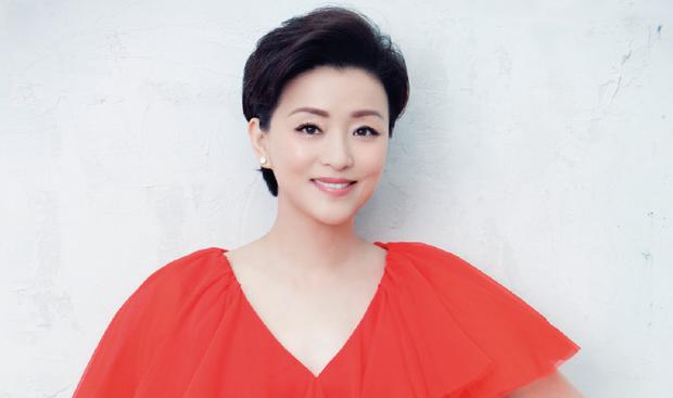 江蘇陽光股份股票，深度解析與前景展望，江蘇陽光股份股票深度解析及未來前景展望