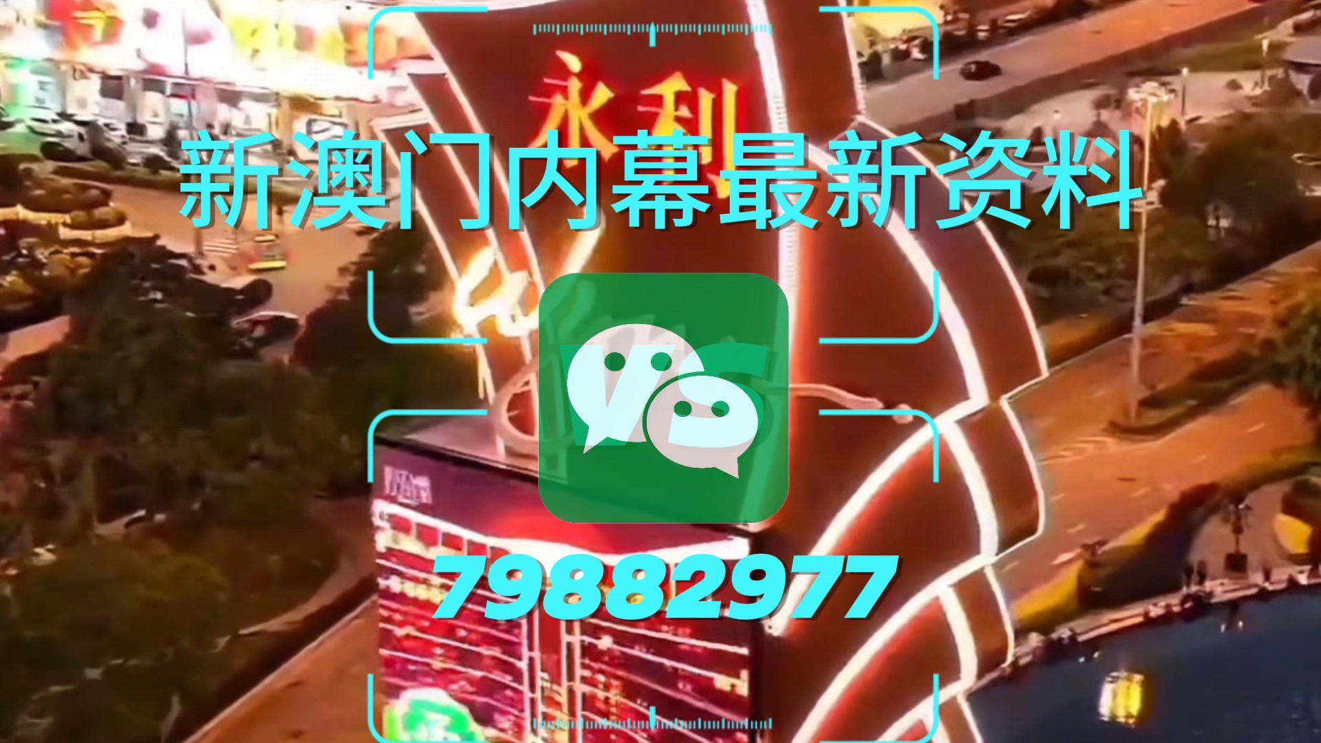 新澳門一肖一特一中，探索與解析，新澳門一肖一特一中，深度探索與解析