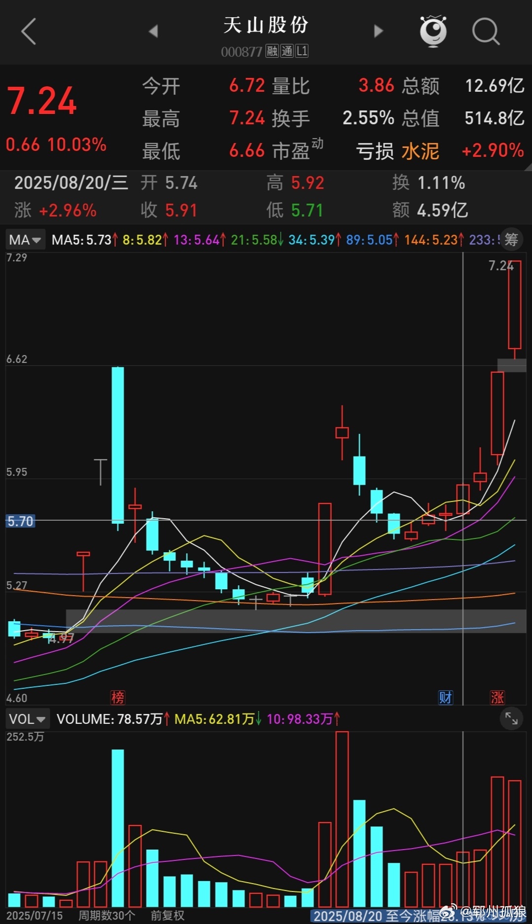 天山股份重組最新消息，企業(yè)轉(zhuǎn)型與未來發(fā)展的展望，天山股份重組最新動態(tài)，企業(yè)轉(zhuǎn)型展望與未來發(fā)展路徑