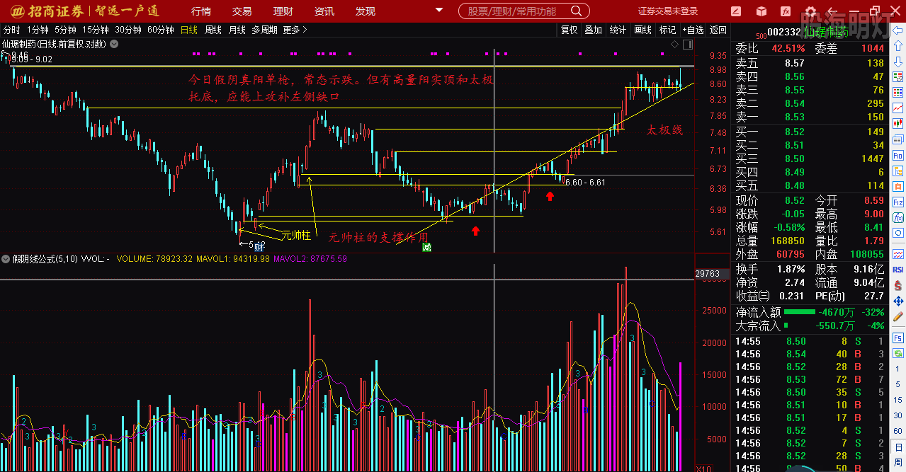 仙琚制藥股票（代碼，002332）深度解析，仙琚制藥股票深度解析（代碼，002332）