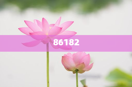 新奧精準免費提供港澳彩——揭秘彩票行業(yè)的秘密武器，揭秘新奧精準免費提供港澳彩的神秘面紗，彩票行業(yè)的秘密武器探究