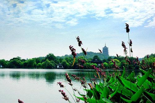 杭州市西湖風(fēng)景名勝區(qū)的魅力與SEO優(yōu)化策略，西湖風(fēng)景名勝區(qū)魅力揭秘與SEO優(yōu)化策略探索