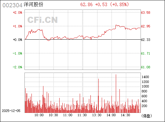 股票002304，深度解析與投資策略，股票002304深度解析與實(shí)戰(zhàn)投資策略探討
