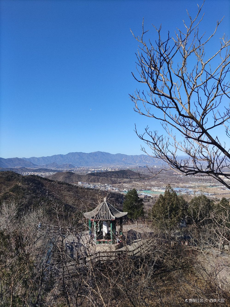 百望山森林公園，自然之美的獨特體驗，百望山森林公園，自然之美的獨特探險之旅