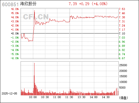 探索海欣股份，股市動態(tài)與未來發(fā)展，海欣股份股市動態(tài)及未來發(fā)展展望