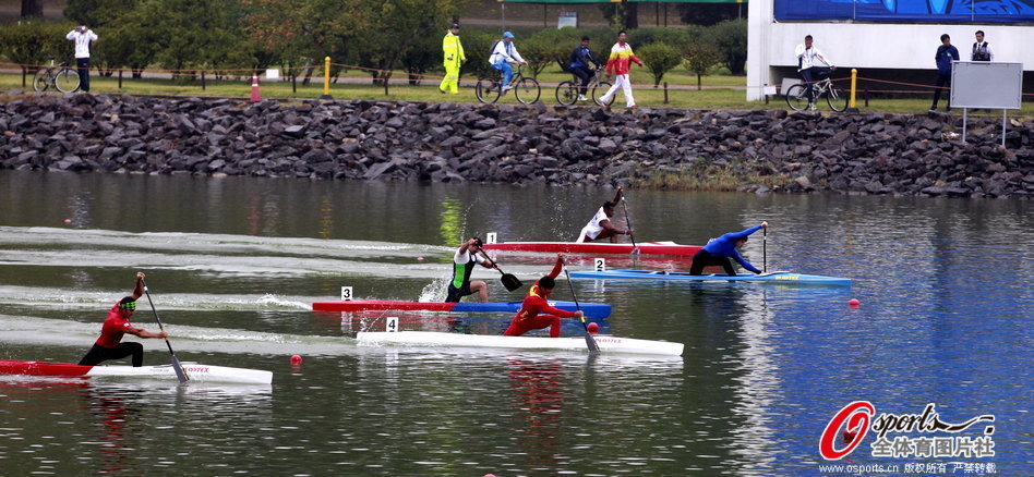 王中王一肖一馬期期中特，深度解析與SEO優(yōu)化策略，王中王一肖一馬期期中特深度解析與SEO優(yōu)化策略指南